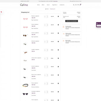Celine Optics: See the World in Style