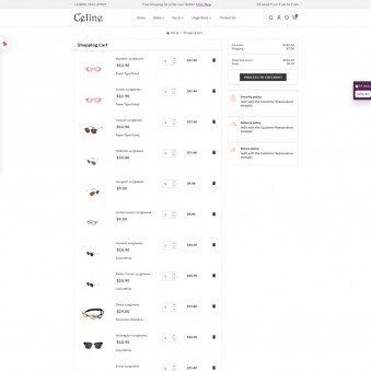 Celine Optics: See the World in Style